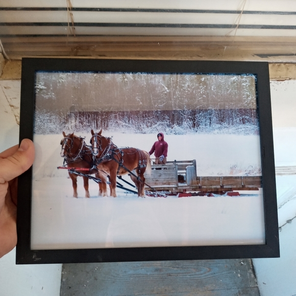 Workhorse framed print - Picture 2 of 2